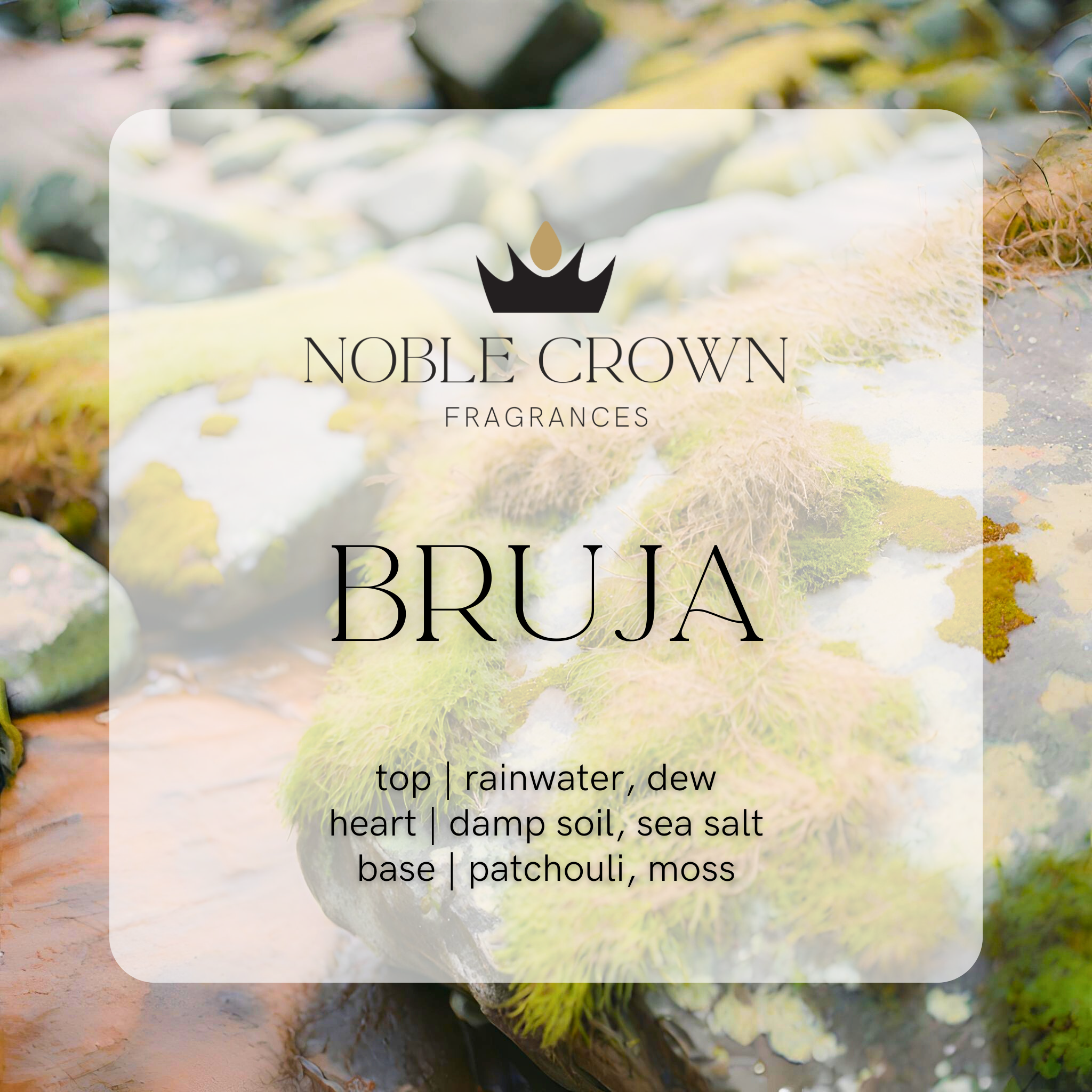 Noble Crown Bruja fragrance description overlay on a natural background with lichen and stones.
