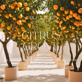 Citrus Grove Notes