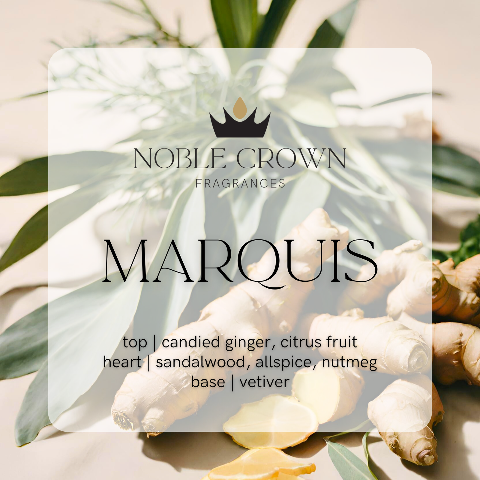 Noble Crown Fragrances | Marquis Perfume - tangerine ginger vetiver
